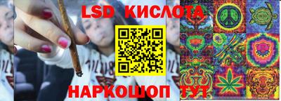прущие крисы Малгобек