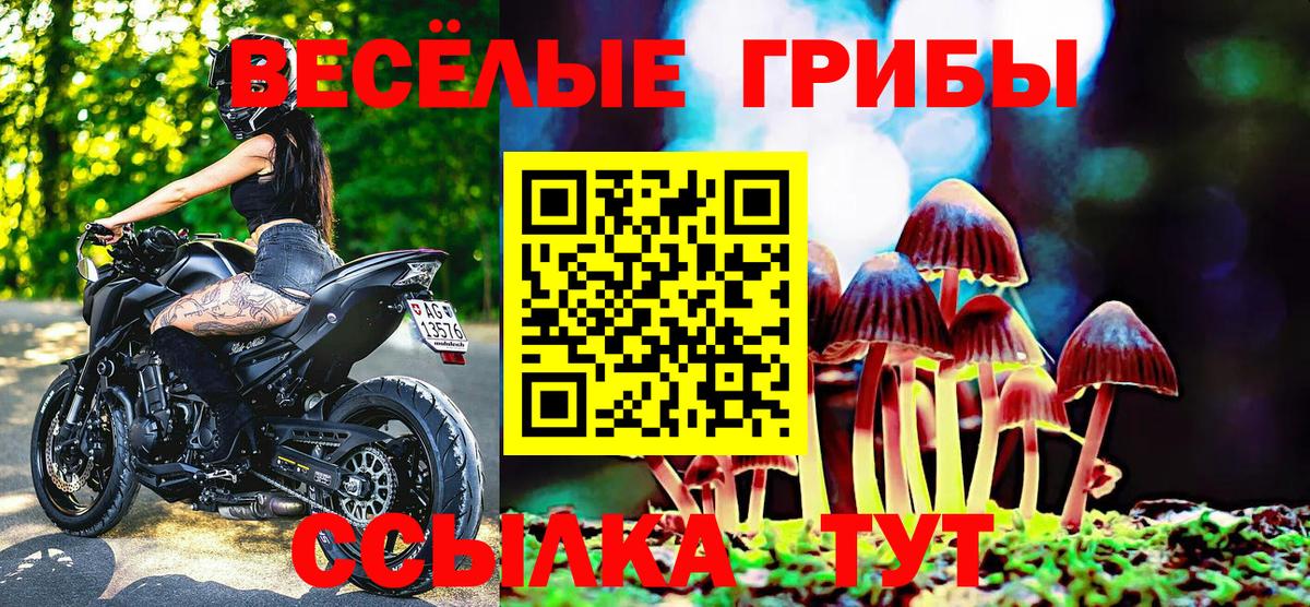 Зеленодольск  Псилоцибиновые грибы мухоморы  Вход с VPN 
